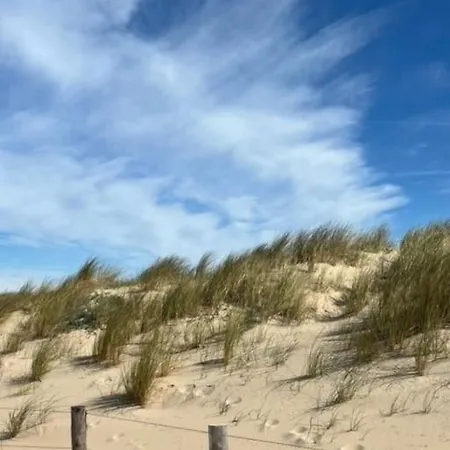 아파트 Aan Zee Bis 4 Personen 2 Hunde 300m Strand *